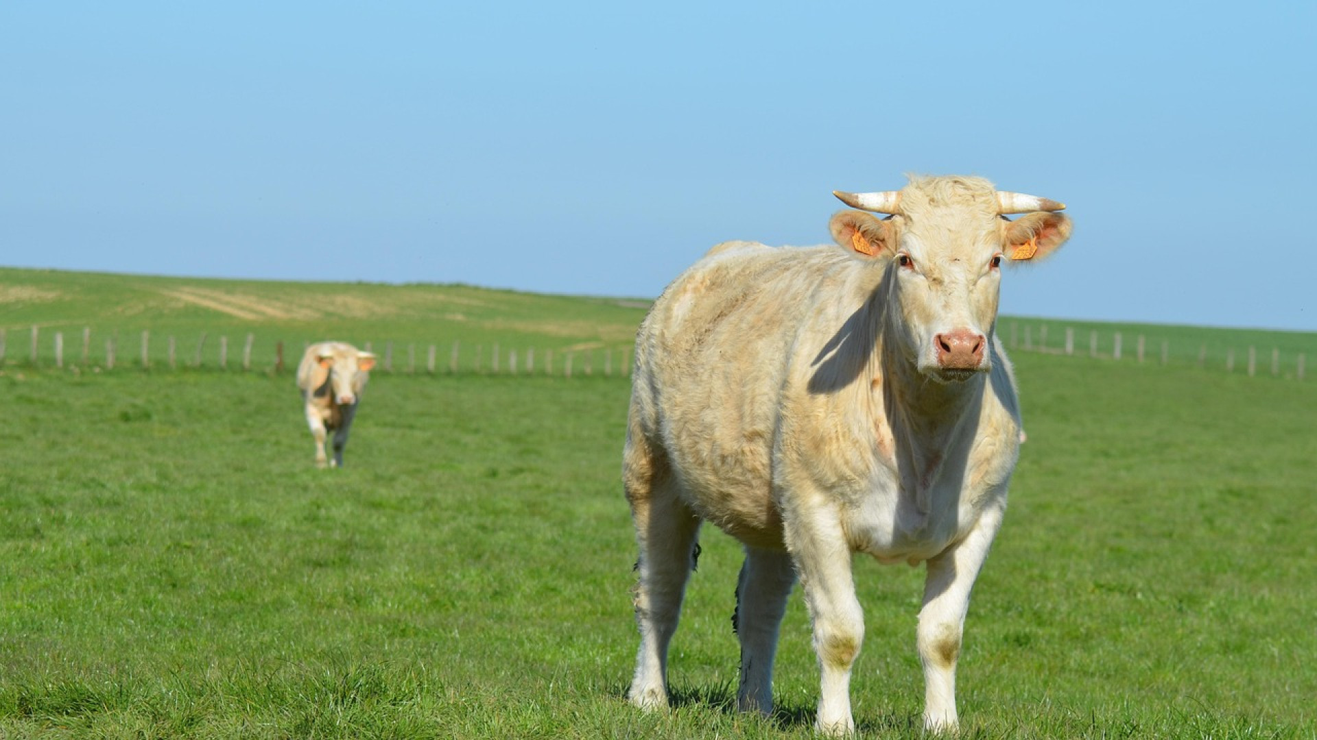 Comment organiser votre projet professionnel d'installation agricole ?